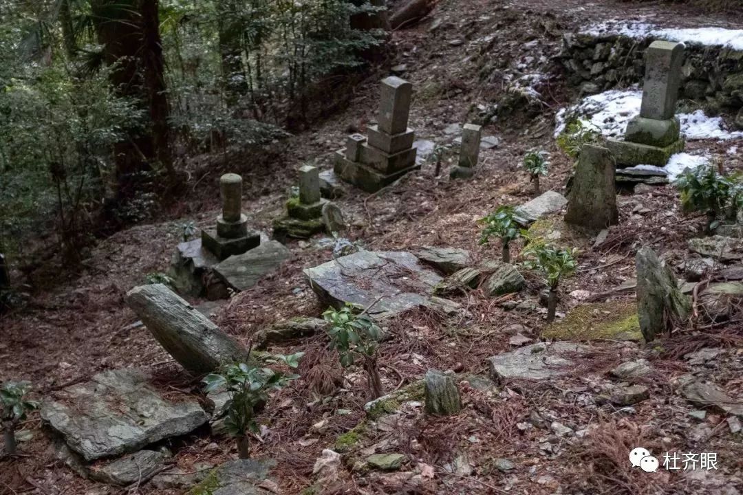 烧山寺后神山町，宿营瓜果仓库中-四国遍路第三天（下）