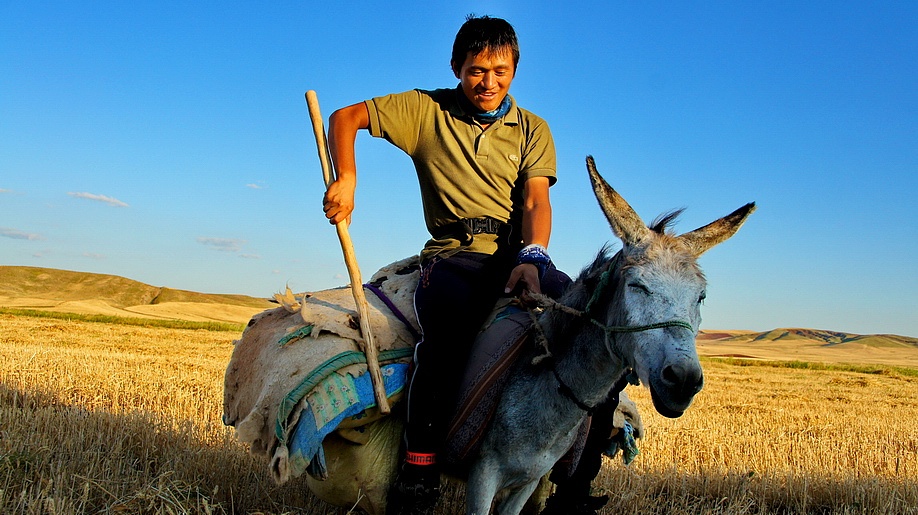 骑行在土耳其的路上-骑驴记-土耳其牧羊犬-风彦疯语-杜风彦