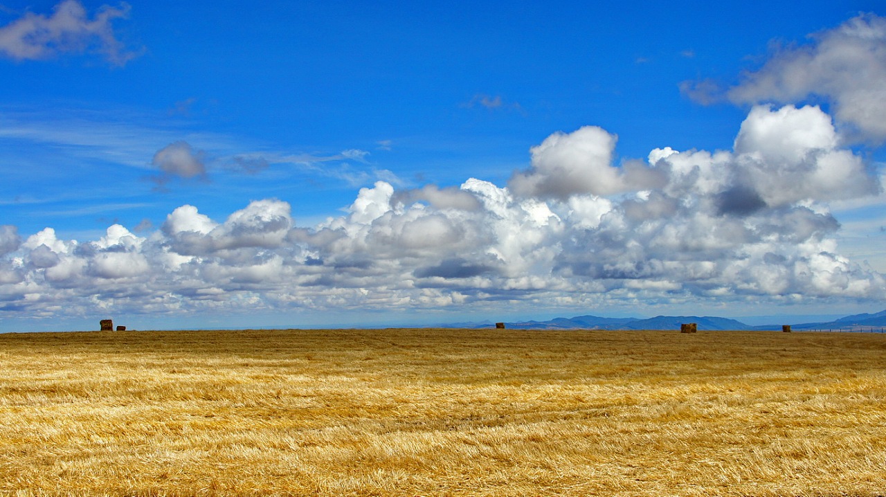 骑在肯尼亚-肯尼亚山腰上农场的草垛-风彦疯语-杜风彦